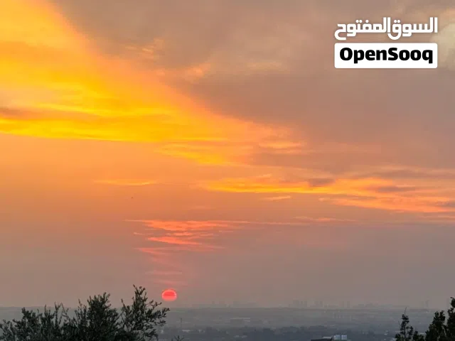طولكرم / شويكة