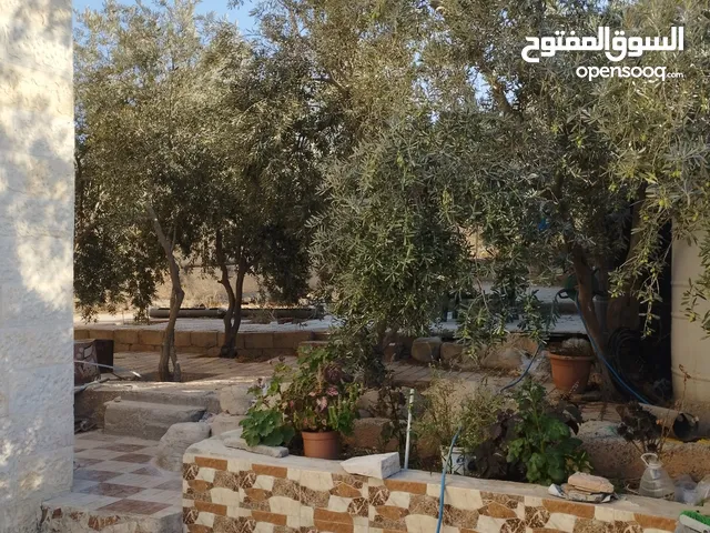 250 m2 More than 6 bedrooms Townhouse for Sale in Zarqa Hay Ja'far Al-Tayyar