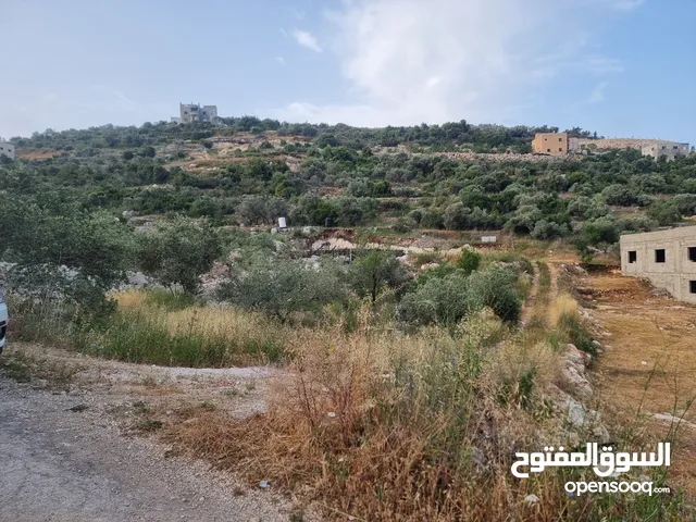 Residential Land for Sale in Tulkarm Bal'a