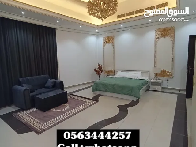 9999 m2 Studio Apartments for Rent in Al Ain Al-Dhahir