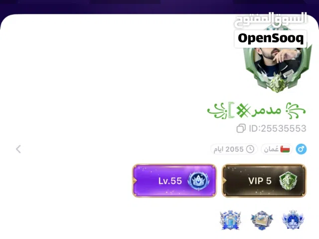 Accounts - Others Accounts and Characters for Sale in Al Sharqiya