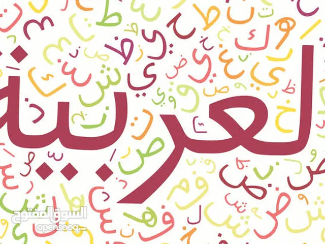 معلم لغة عربية خاص