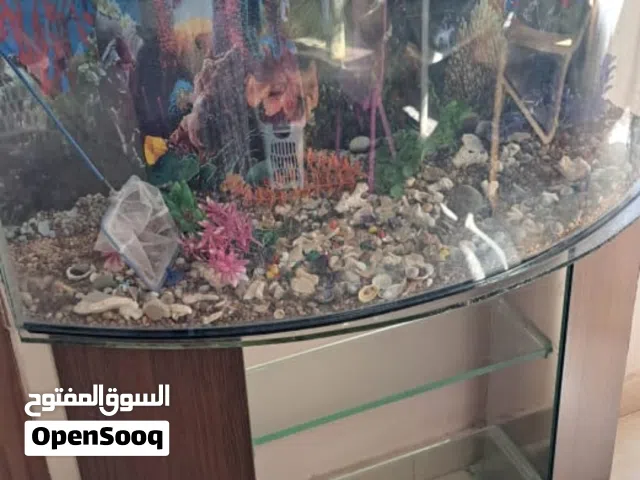 حوض سمك كبير جداً للبيع – بحالة ممتازة