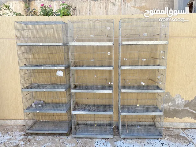قفاص عصفير لاقوة الا بالله 15 سلاكة كلهم و درجة الأولى
