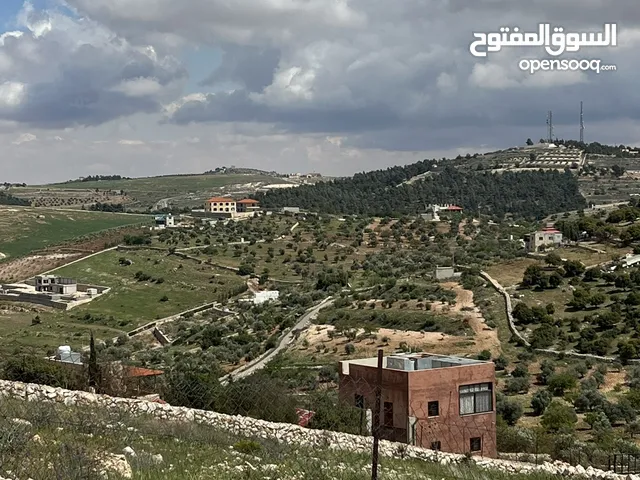 Farm Land for Sale in Jerash Soof