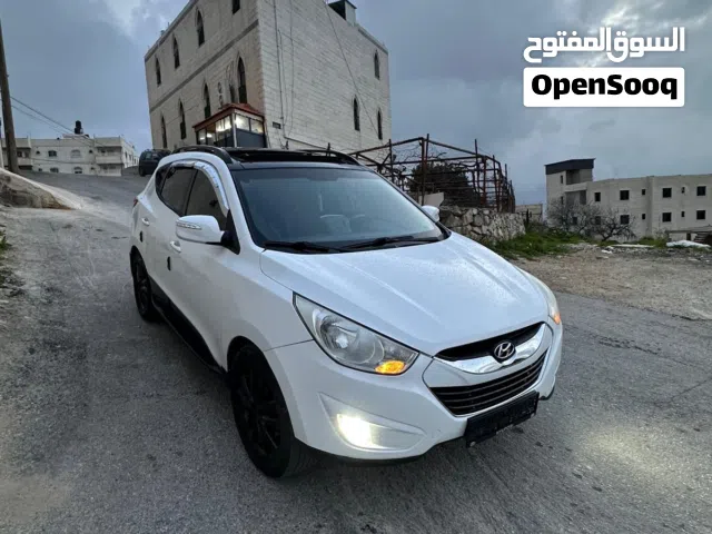 محمد النتشه