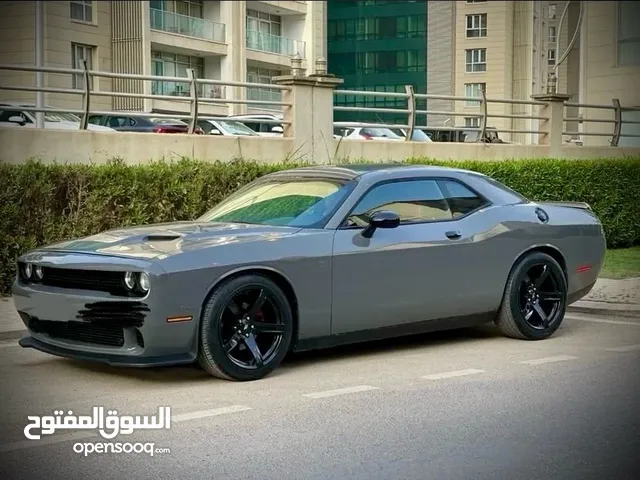 Used Dodge Challenger in Baghdad