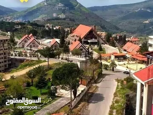 مشتى الحلو 40دنم للبيـــــــــــــــــع