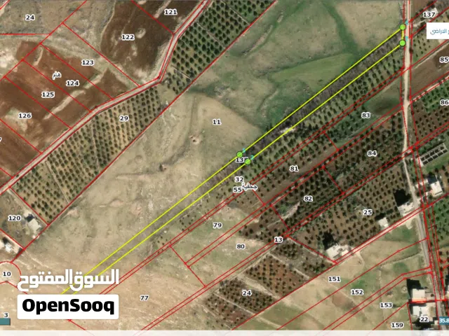 Farm Land for Sale in Irbid Johfiyeh