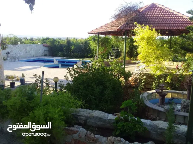 Residential Land for Sale in Latakia Ayn al-Bayda
