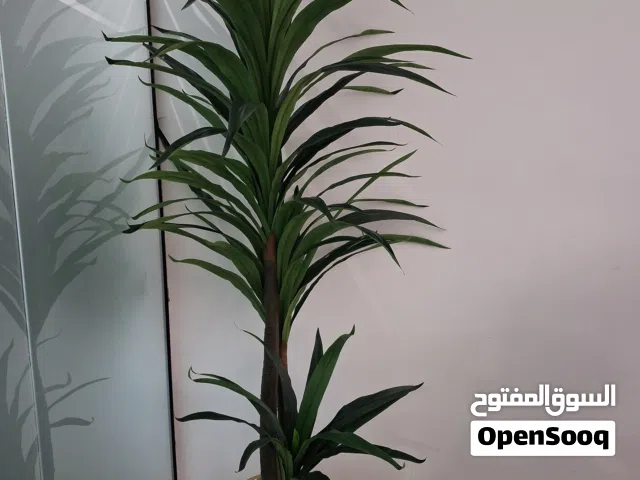 Big Artificial Green Plant – Balcony / Office / Apartment Decor – Ready to Use