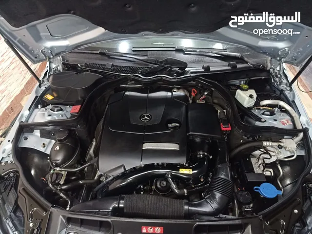 معاقين مرور بورسعيد