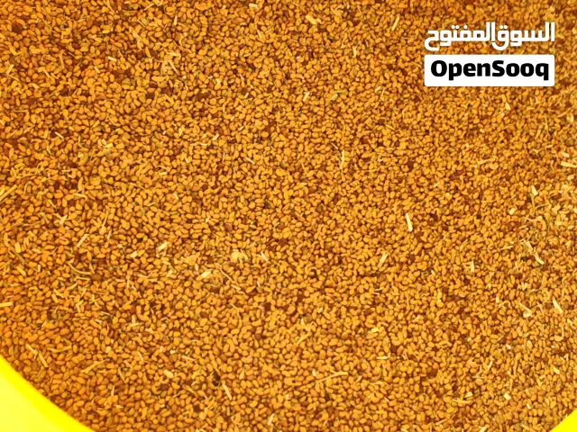 بذر قت(برسيم)للشاري حرية الفحص في المختبر