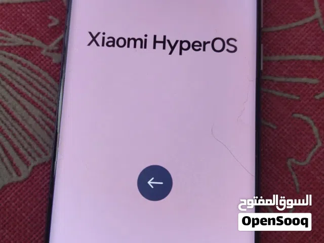 Xiaomi 14 Pro 512 GB in Cairo