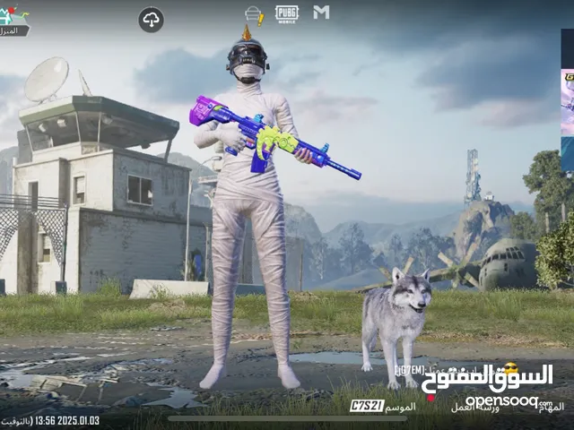 Pubg Accounts and Characters for Sale in Amman