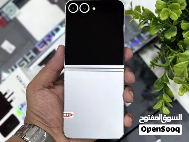 Samsung Galaxy Z Flip6 256 GB in Muscat