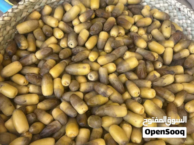 رطب نغال نظيف