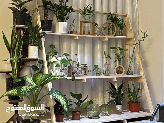 رف ديكور خشبي تفصال