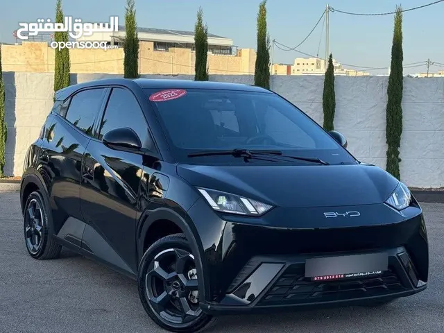 Used BYD Seagull in Amman