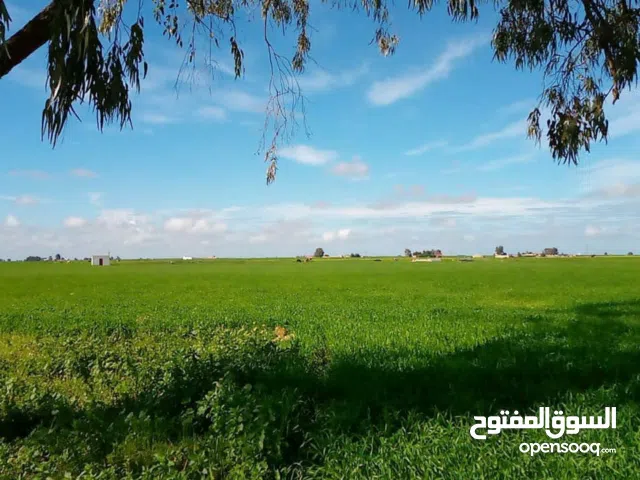 Farm Land for Sale in Casablanca Other
