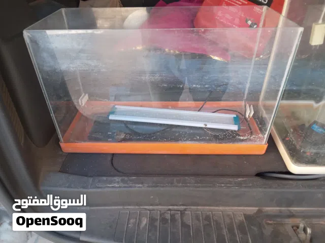 أحواض سمك نظيفه