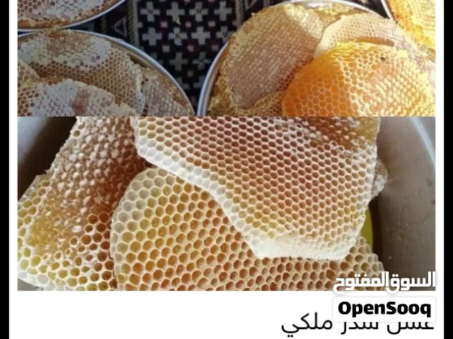 متوفر العسل السدر الملكي والزبيب واللوز الجبري بلدي درجه اولى لدينا توصيل  السعر حسب المنتج