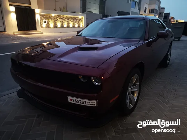 Used Dodge Challenger in Northern Governorate