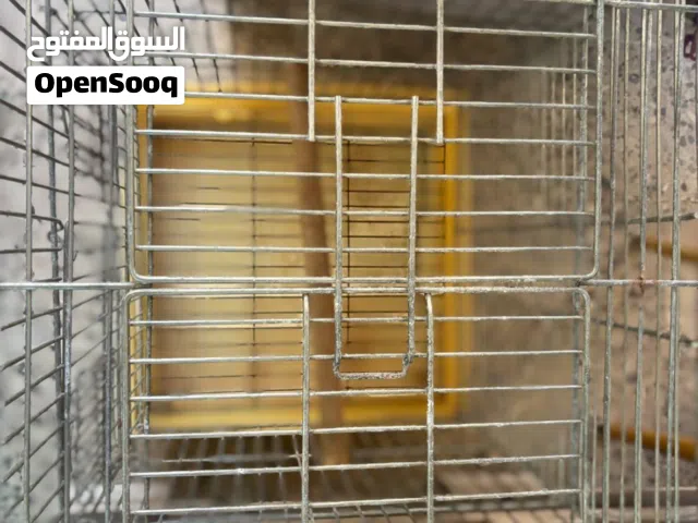 اقفاص للبيع (قفص كاسكو) (قفص كوكتيل أو درة)