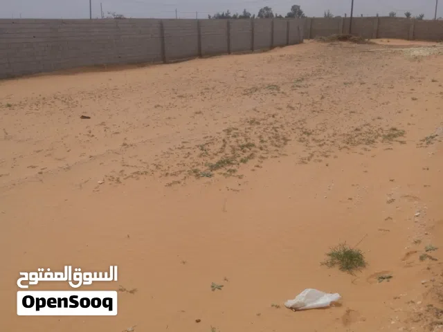 عرض قطعة أرض 1000من المالك مباشرة