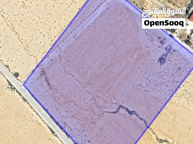 Farm Land for Sale in Amman Al-Muwaqqar