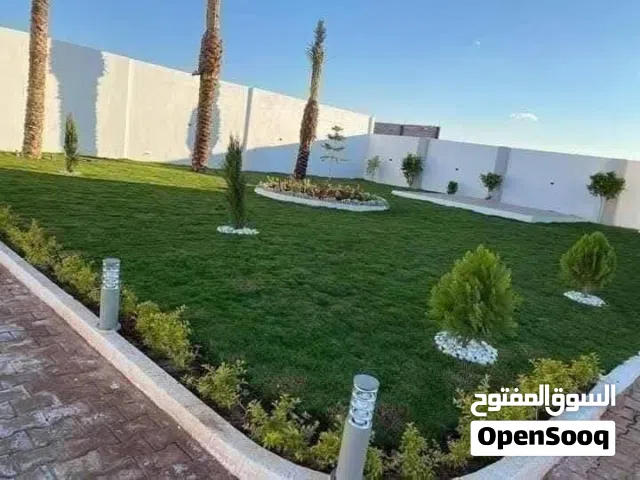 بسم الله الرحمن الرحيم حرق الأسعار علا النجيل m5الامريكي نخب اول سعر المتر 6د مزروع جاهز تواصل