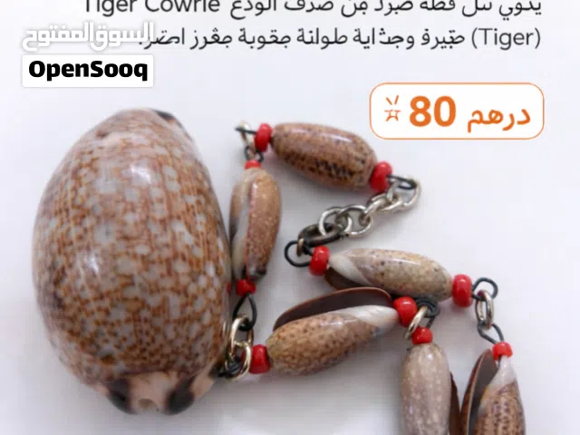 سوار تقليدي بصدف الودع الطبيعي (Tiger Cowrie - Cypraea tigris)