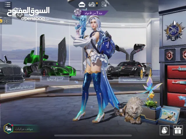 Pubg Accounts and Characters for Sale in Abu Dhabi