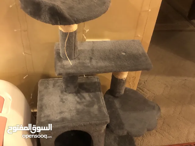 منزل للقطة
