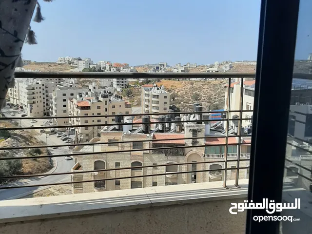 ابو زين  زيدات