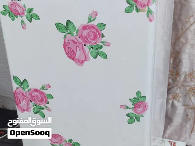 ثلاجة حجم صغر