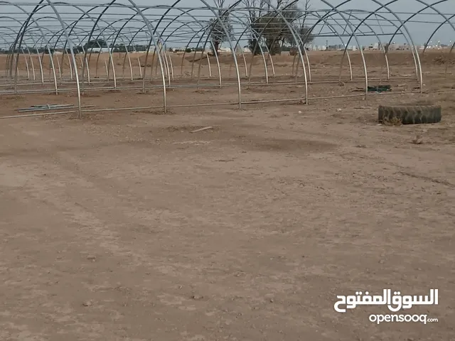 بيوت محميه واكسسوارها للبيع