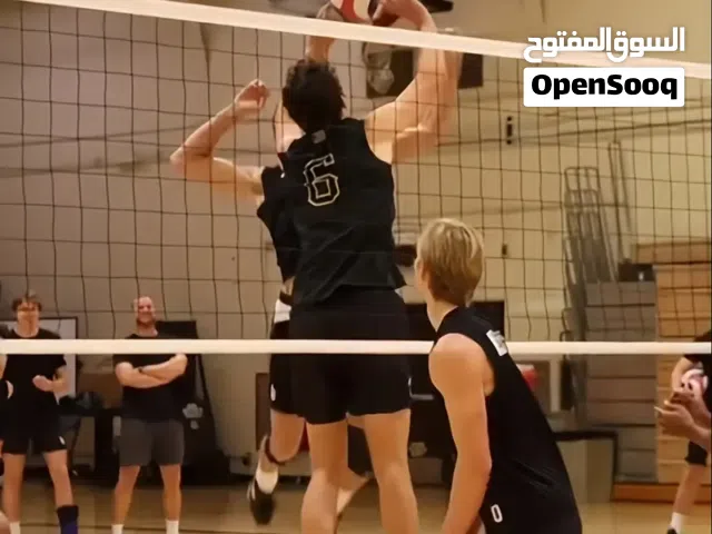 العرض الرمضاني لشبك الطائره حتى نفاذ الكمية..