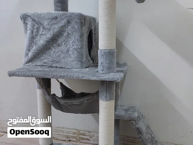 بيت قطط جديد