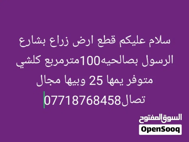 أرض للبيع في صلاحيه 100 مرب