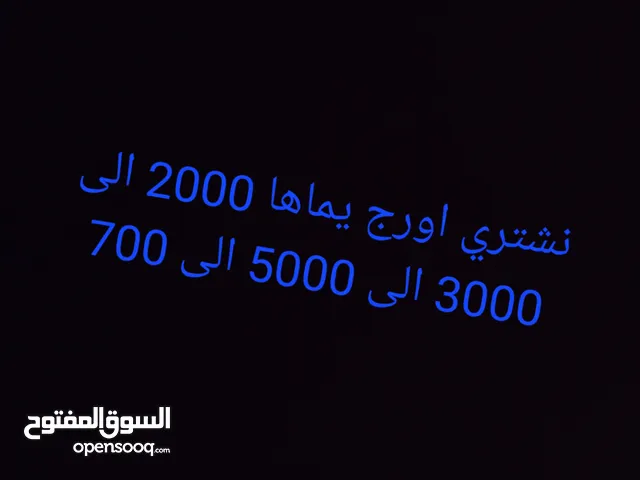 نشتري اورجات من يماها فقط