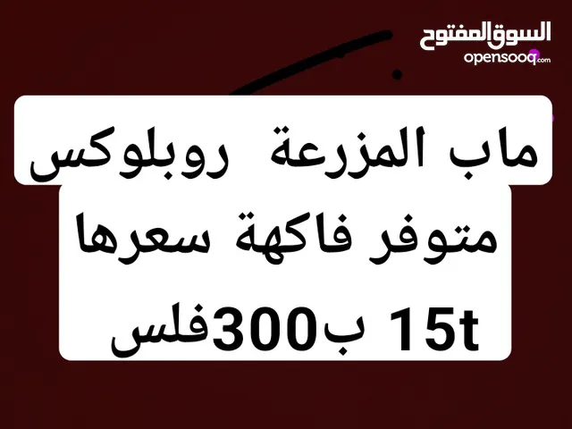 Roblox Accounts and Characters for Sale in Northern Governorate