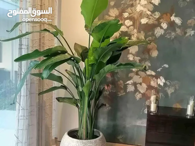 Green core flowers
