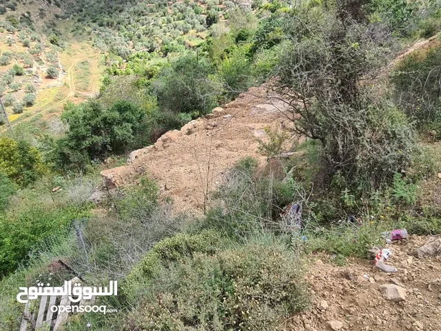عجول قطعة ارض 811 متر كوشان طابو مستقل سلطة أ