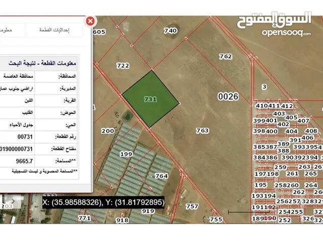 Farm Land for Sale in Amman Al Lubban