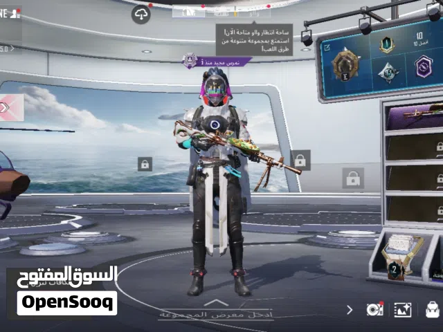 Pubg Accounts and Characters for Sale in Abu Dhabi
