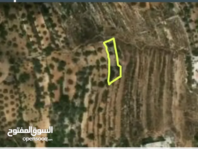 Residential Land for Sale in Ramallah and Al-Bireh Surda