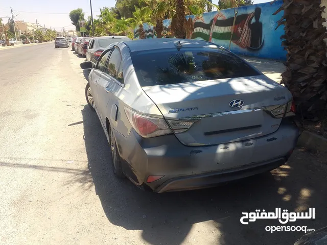 سوناتا 2013