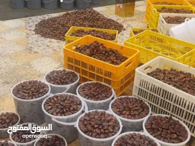 تمور من الدرجة الأولى من المناطق الجنوبية لخوزستان (إيران)