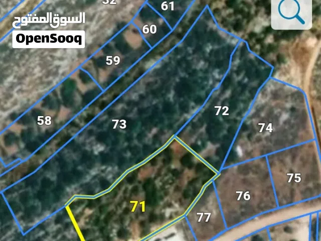ارض للبيع رام الله كفر نعمه